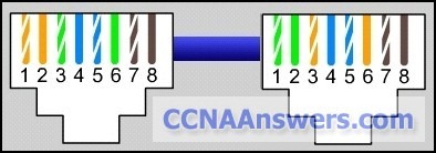 DHomesb Chapter 4 thumb CCNA Discovery 1 Chapter 4 V4.0 Answers