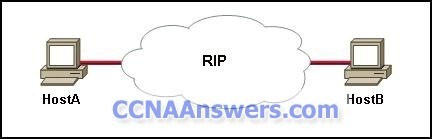 CCNA Discovery 2 Chapter 6 thumb CCNA Discovery 2 Chapter 6 V4.1 Answers