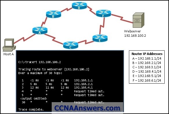 CCNA Discovery 2 thumb CCNA Discovery 2 Chapter 1 V4.1 Answers