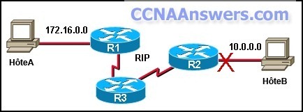 Working at a Small to Medium Business or ISP Chapter 6 thumb CCNA Discovery 2 Chapter 6 V4.1 Answers