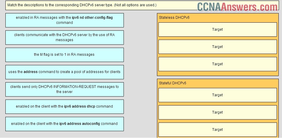 Match the descriptions to the corresponding DHCPv6 sever type