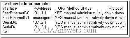 CCNA 2 Chapter 1 V4.0 Answers (1)