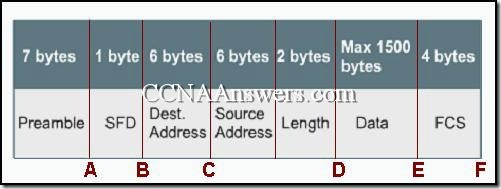 CCNA 3 Module 4 V3.1 Answers